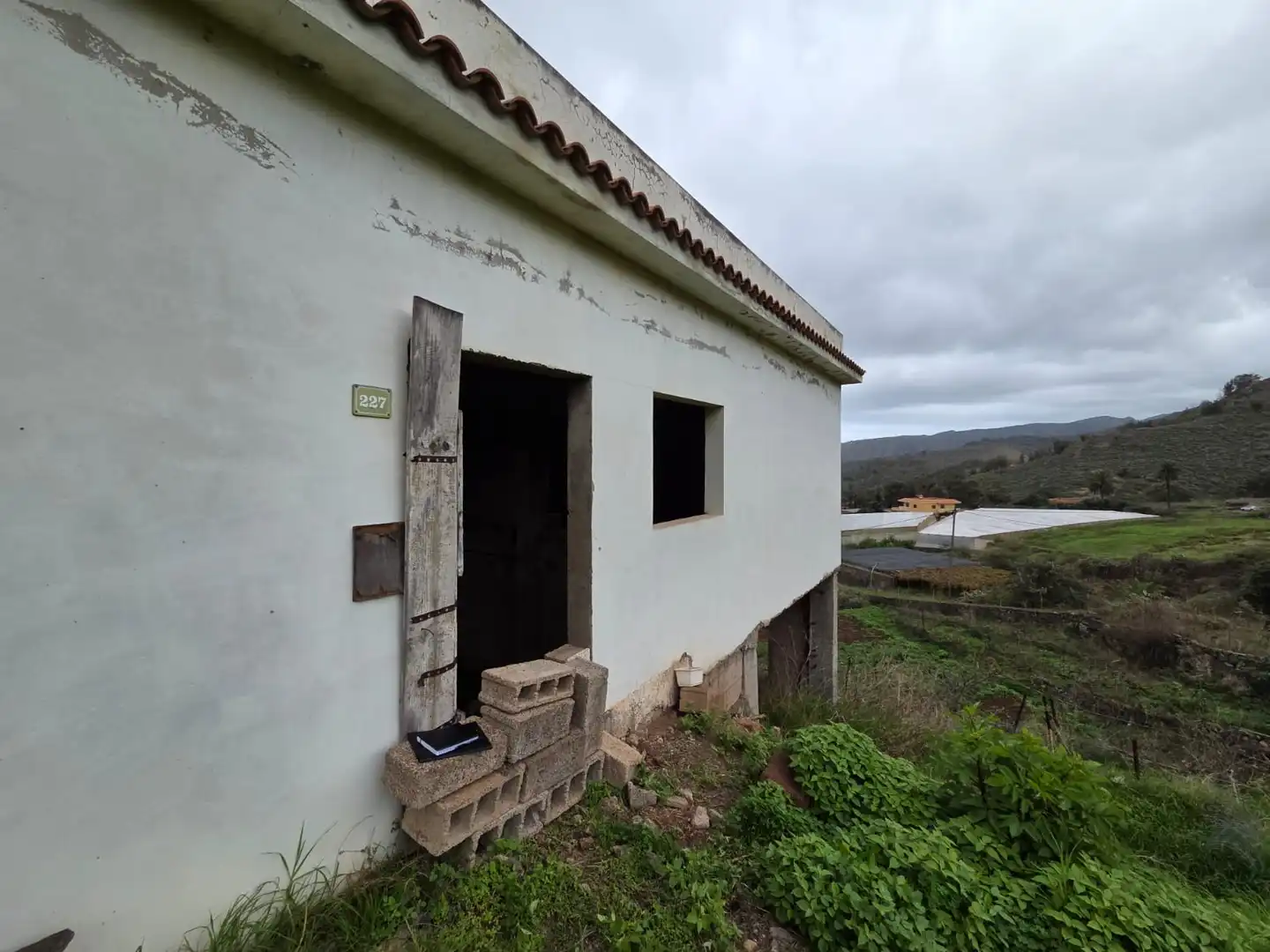 Vista exterior de Finca rústica en venta en Tegueste