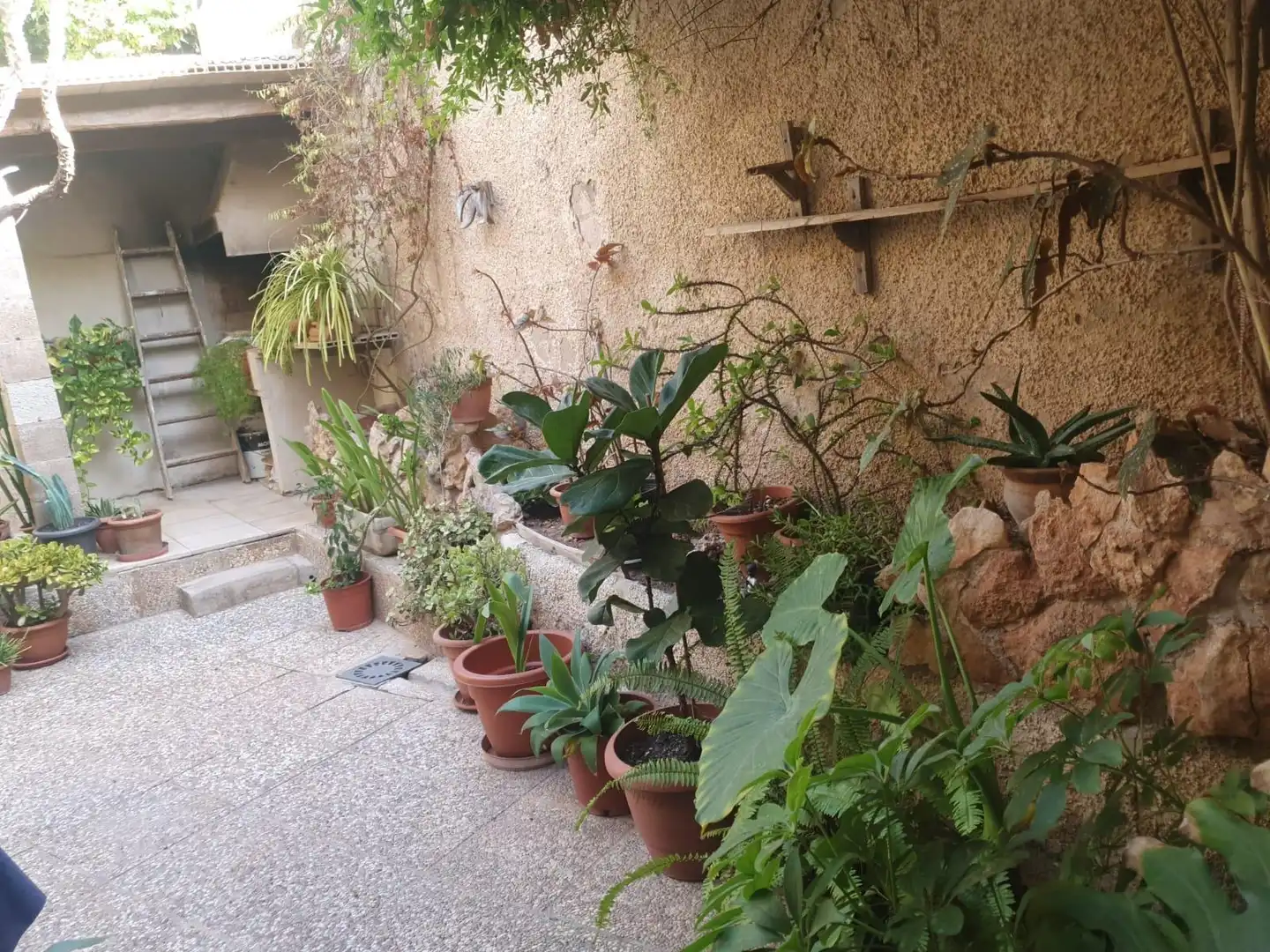 Haus mit Garten zum Verkauf in Platja de Palma, imagen 5