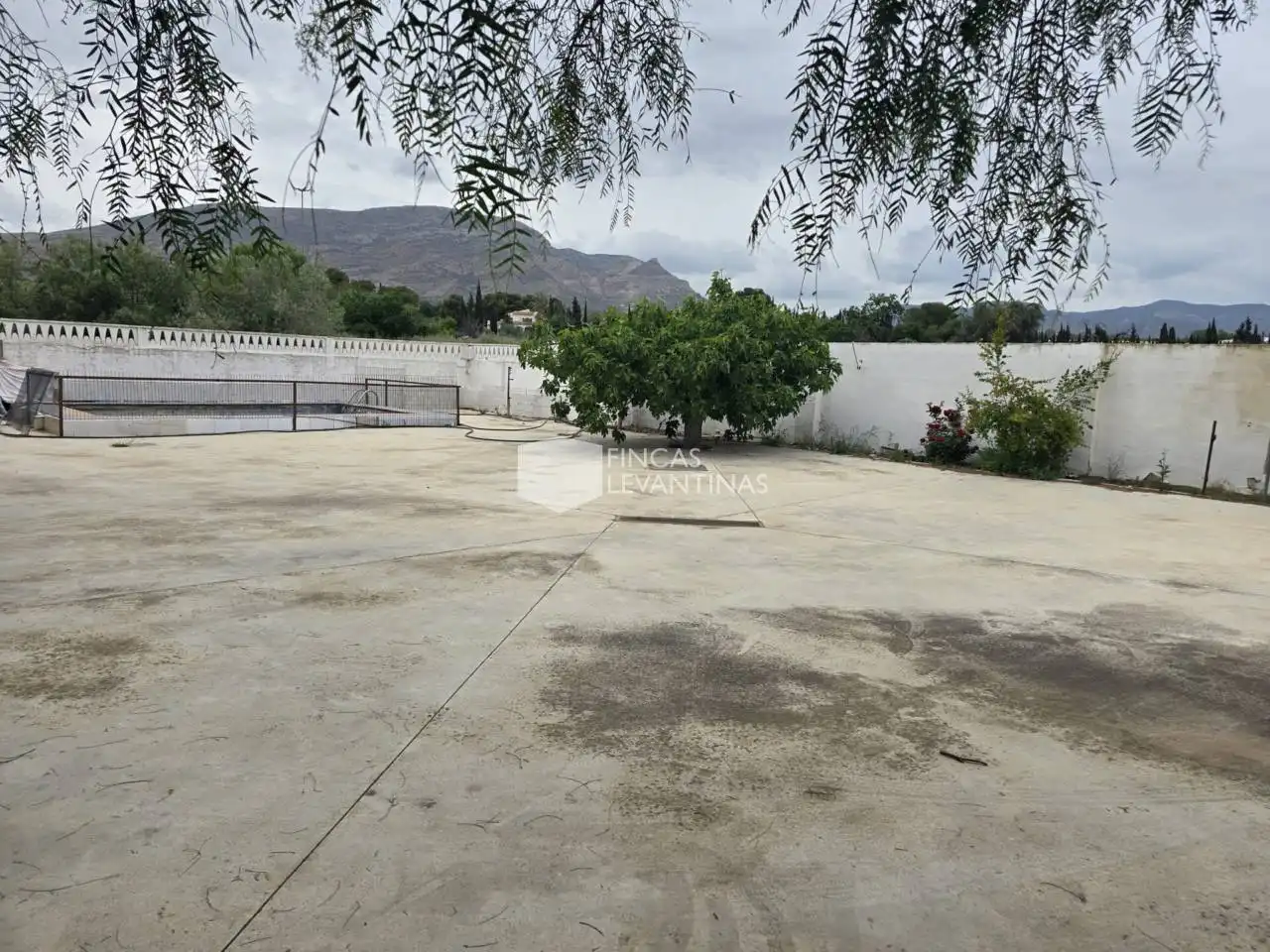 Vista exterior de Casa o chalet en venta en Novelda con Terraza y Piscina