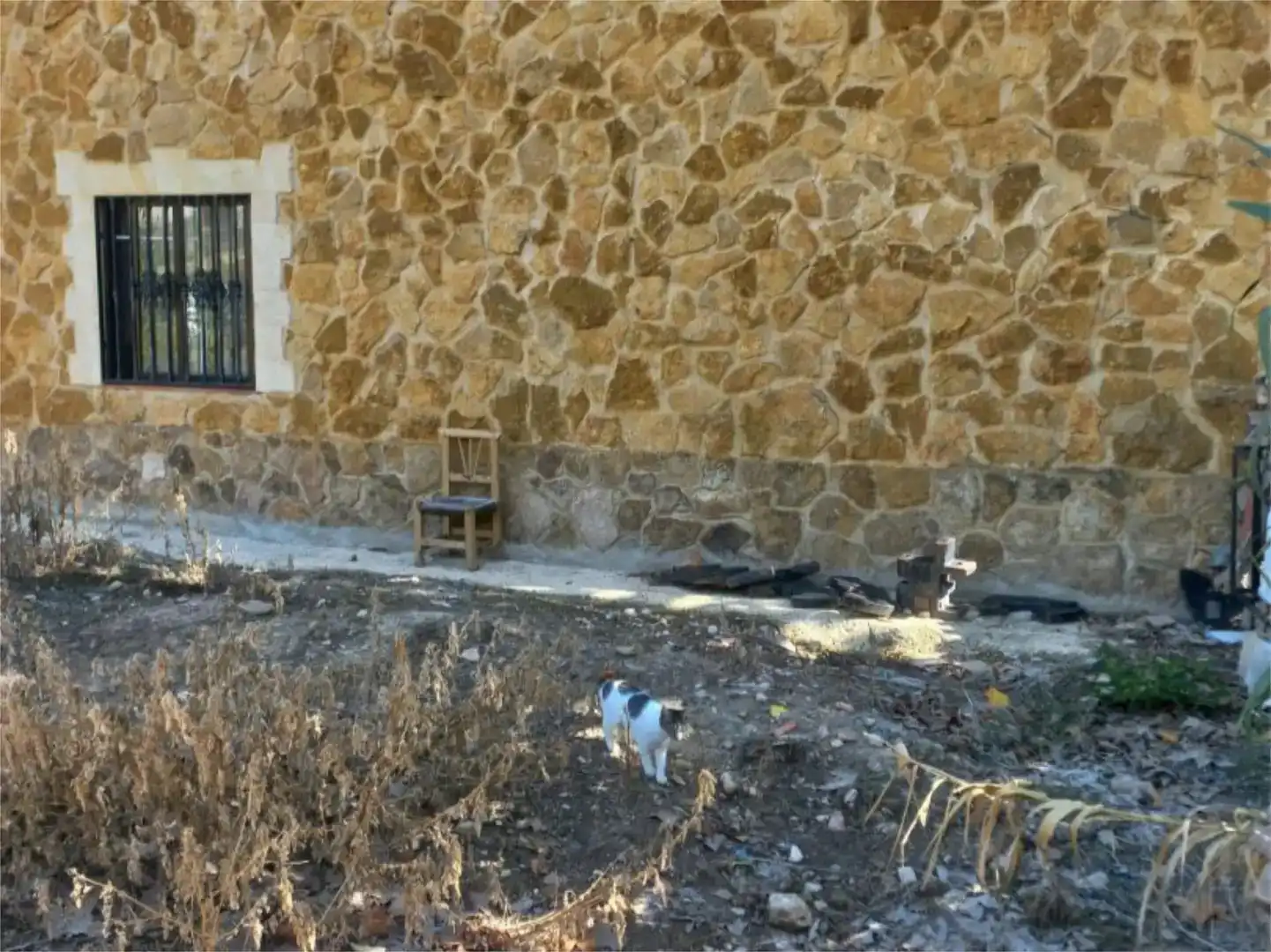 Vista exterior de Finca rústica en venda en Villapalacios