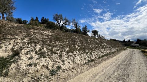 Foto 5 de Residencial en venta en Camino Suelo Urb S-5, Ayuntamiento, Alhendín