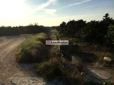 Terreno rustico in vendita a Polígono 14 Parcela 124 VILELLA.