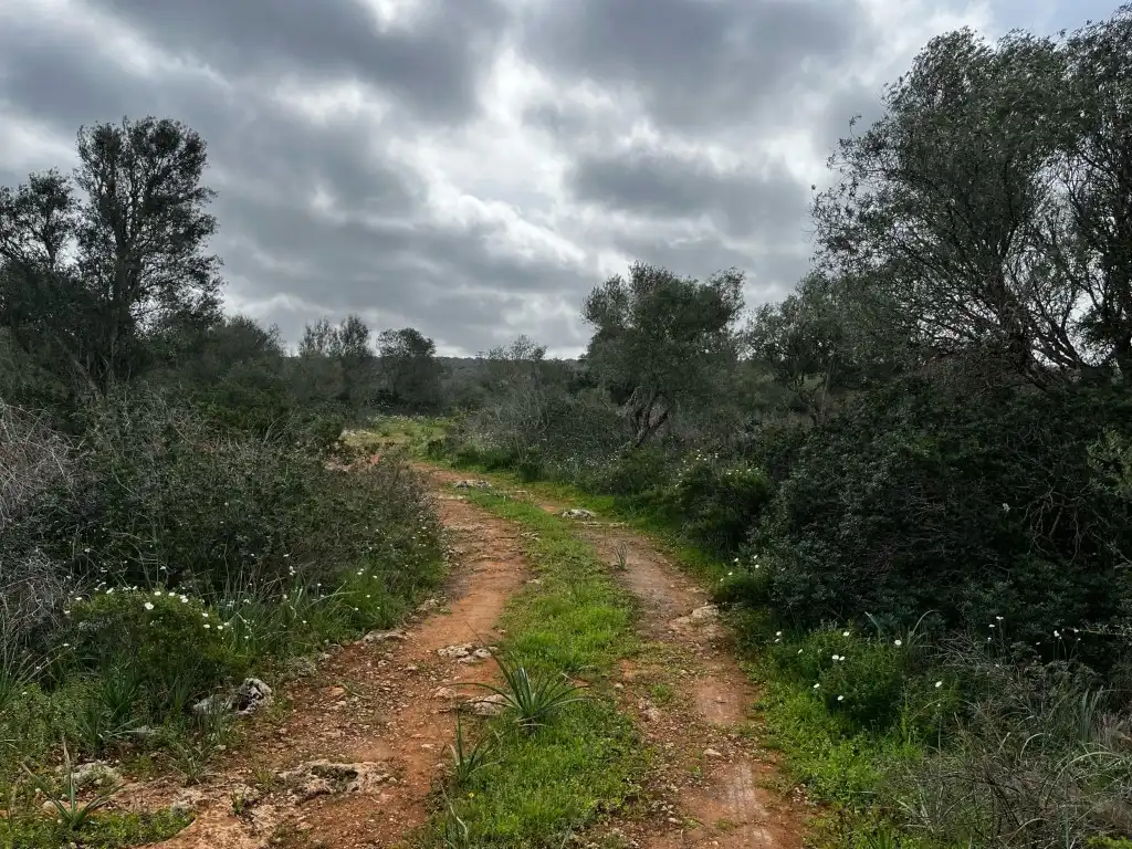 Finca rústica en venta en Campos