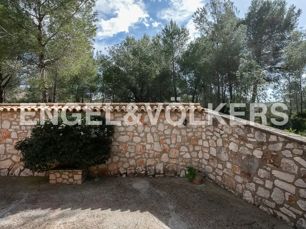 Jardí de Casa o xalet en venda en Carcaixent amb Calefacció, Jardí privat i Terrassa