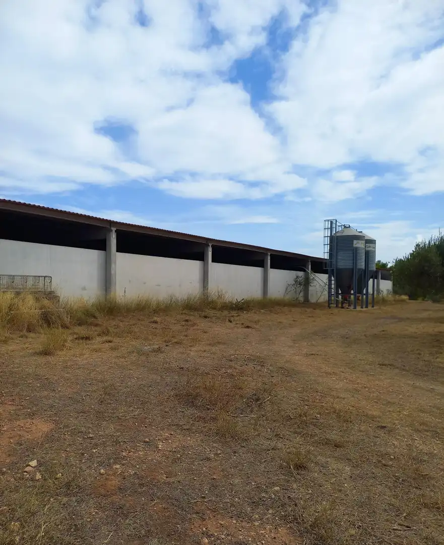 Vista exterior de Finca rústica en venta en Tivissa