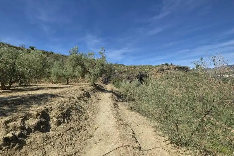Terreno rustico in vendita a El Valle, imagen 4