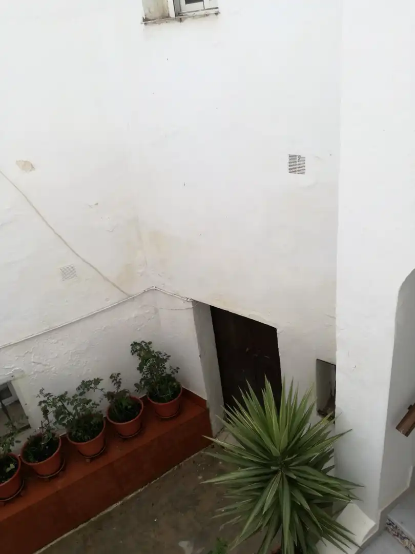 Casa rústica amb terrassa en venda a Vejer, imagen 79