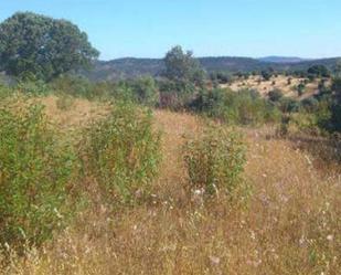 Land for sale in Santiago de Alcántara