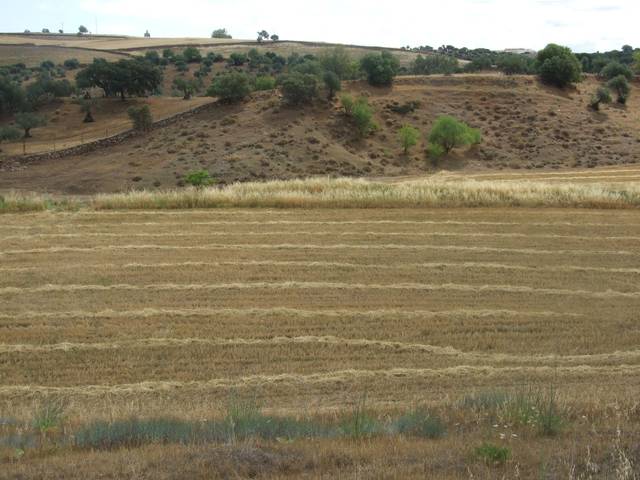 Terreno en Venta en N/A, -1 en Zafra