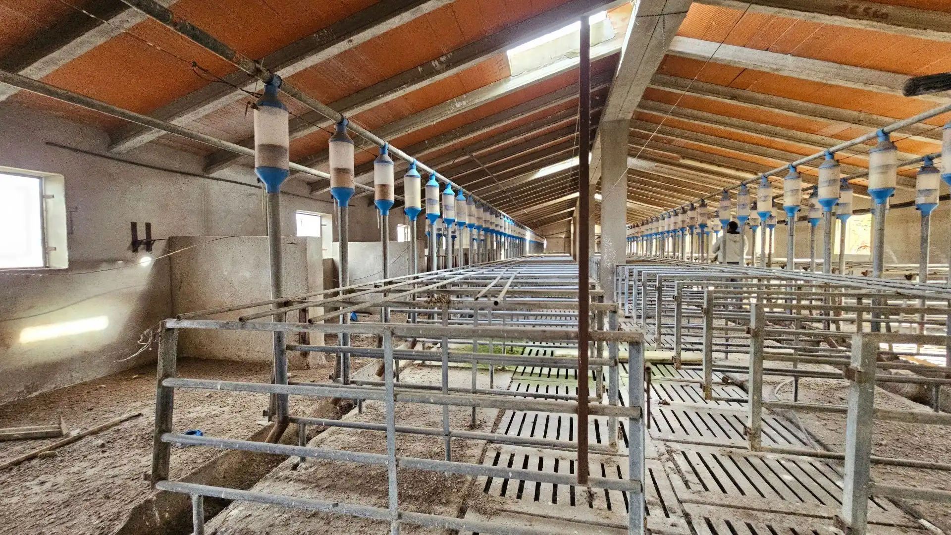 Nave industrial en venta en poligono 1 parcela 667, 1, Fuentepelayo