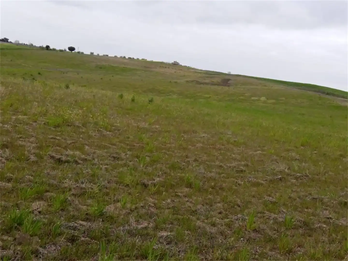 Land for sale in Escalona, Toledo