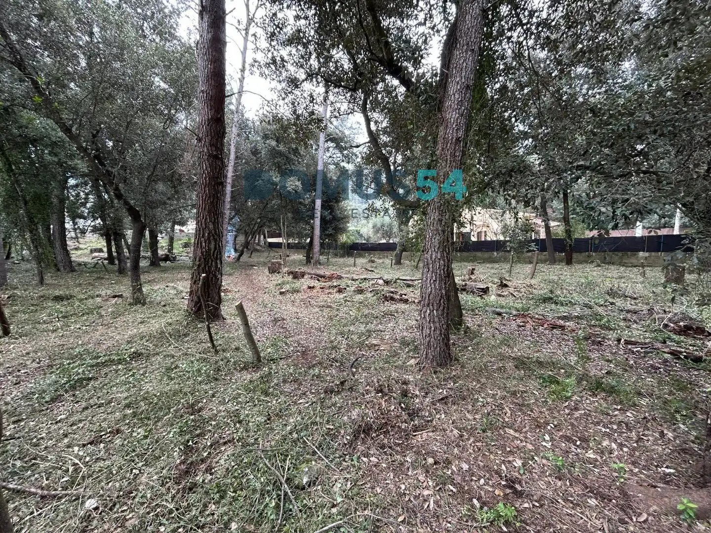 Rural land for sale in Sa Pobla, imagen 16