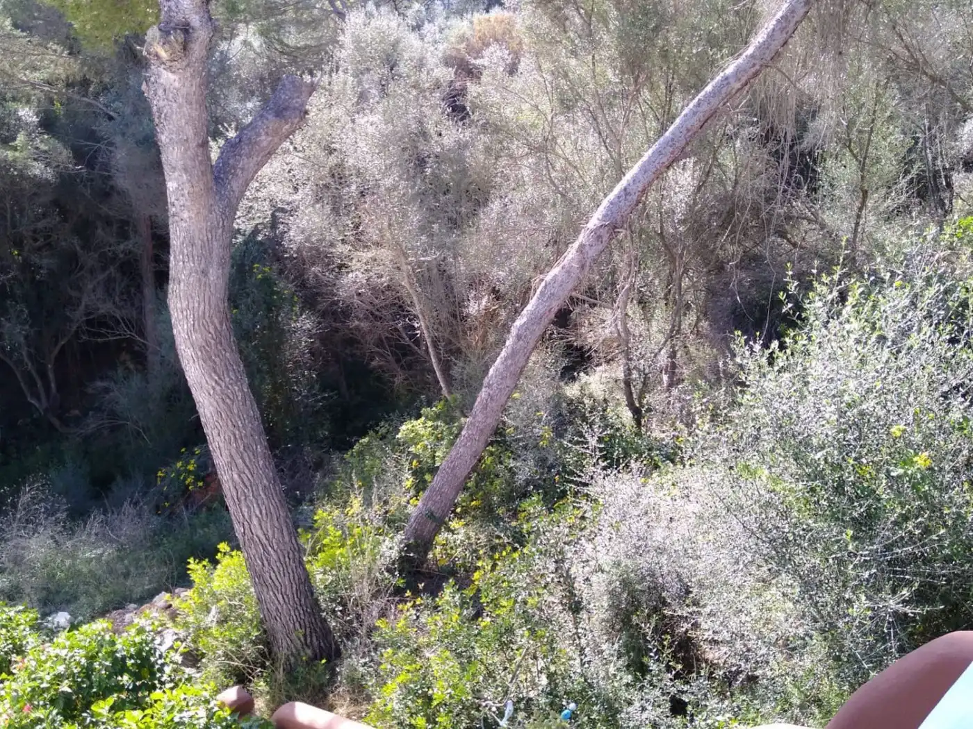 Residencial en venta en Santanyí