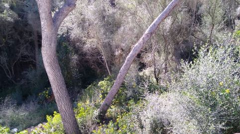 Foto 4 de Residencial en venta en Cala Llombards, Santanyí