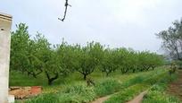 Finca rústica en venda en Llíria
