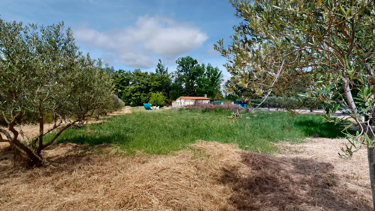 Rural land for sale in Tafalla - PARAJE LA RECUEJA, imagen 62