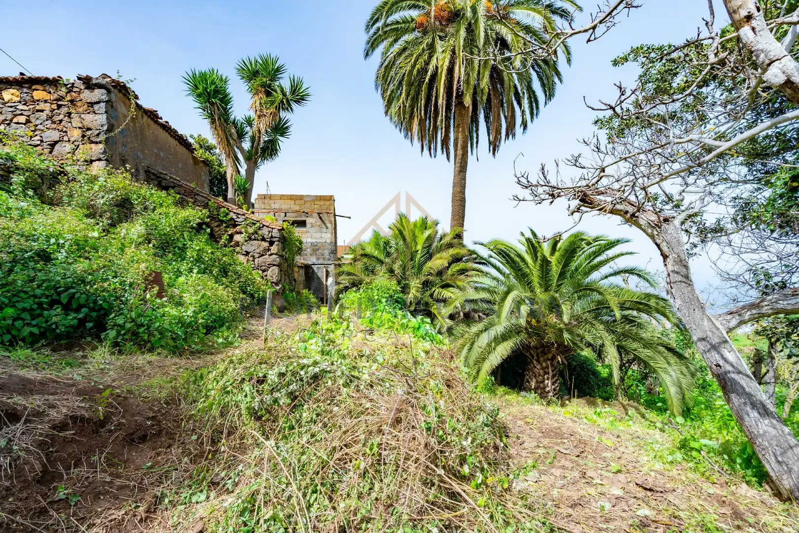 Finca rústica en venda en La Victoria de Acentejo