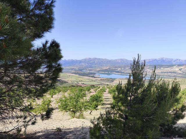 Terreno en Venta en  Polígono 6 Parcela 19 VENTA DEL VELAO. ARENAS DEL en Arenas del Rey