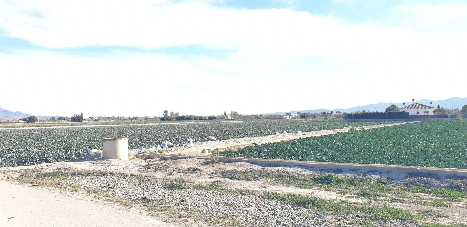 Terreny residencial en venda a Pedanías Centro, imagen 2