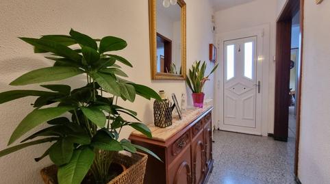 Foto 2 de Casa o xalet en venda a Serrat del Gall, Sant Hilari Sacalm, Girona