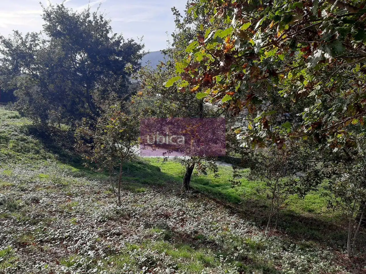 Terreno residencial en venta en Pazos de Borbén, imagen 4