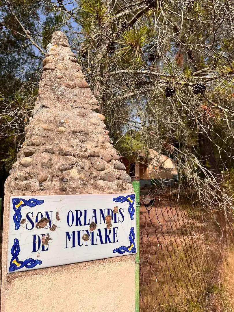 Vista exterior de Finca rústica en venda en Petra amb Jardí privat, Terrassa i Traster