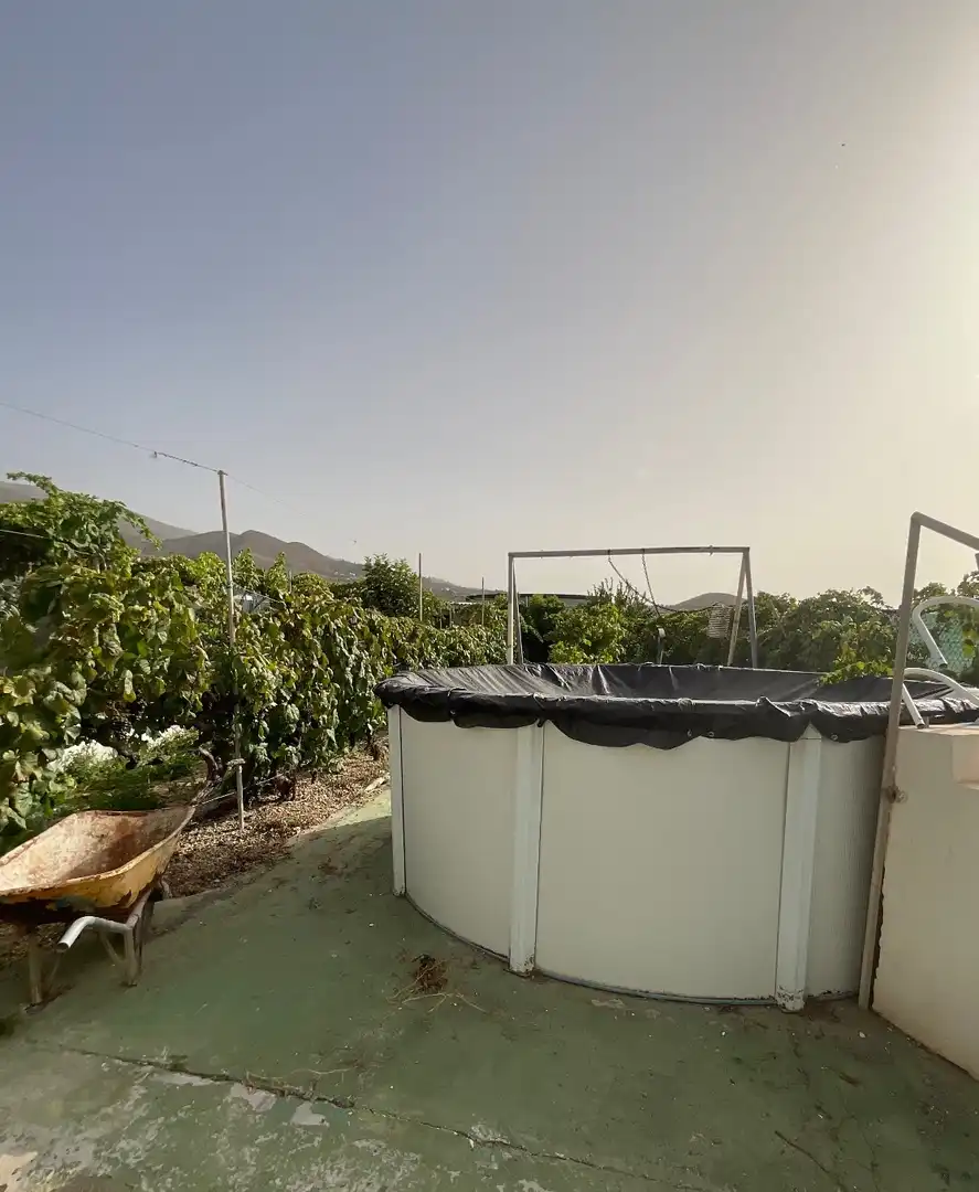 Swimming pool of Houses for sale in Granadilla de Abona