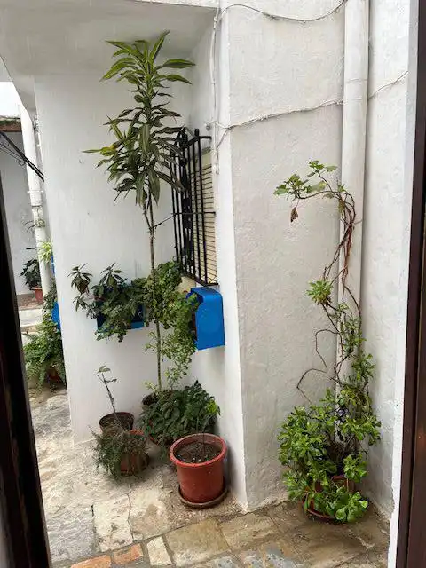 Mini appartamento in affitto a Vejer, imagen 15