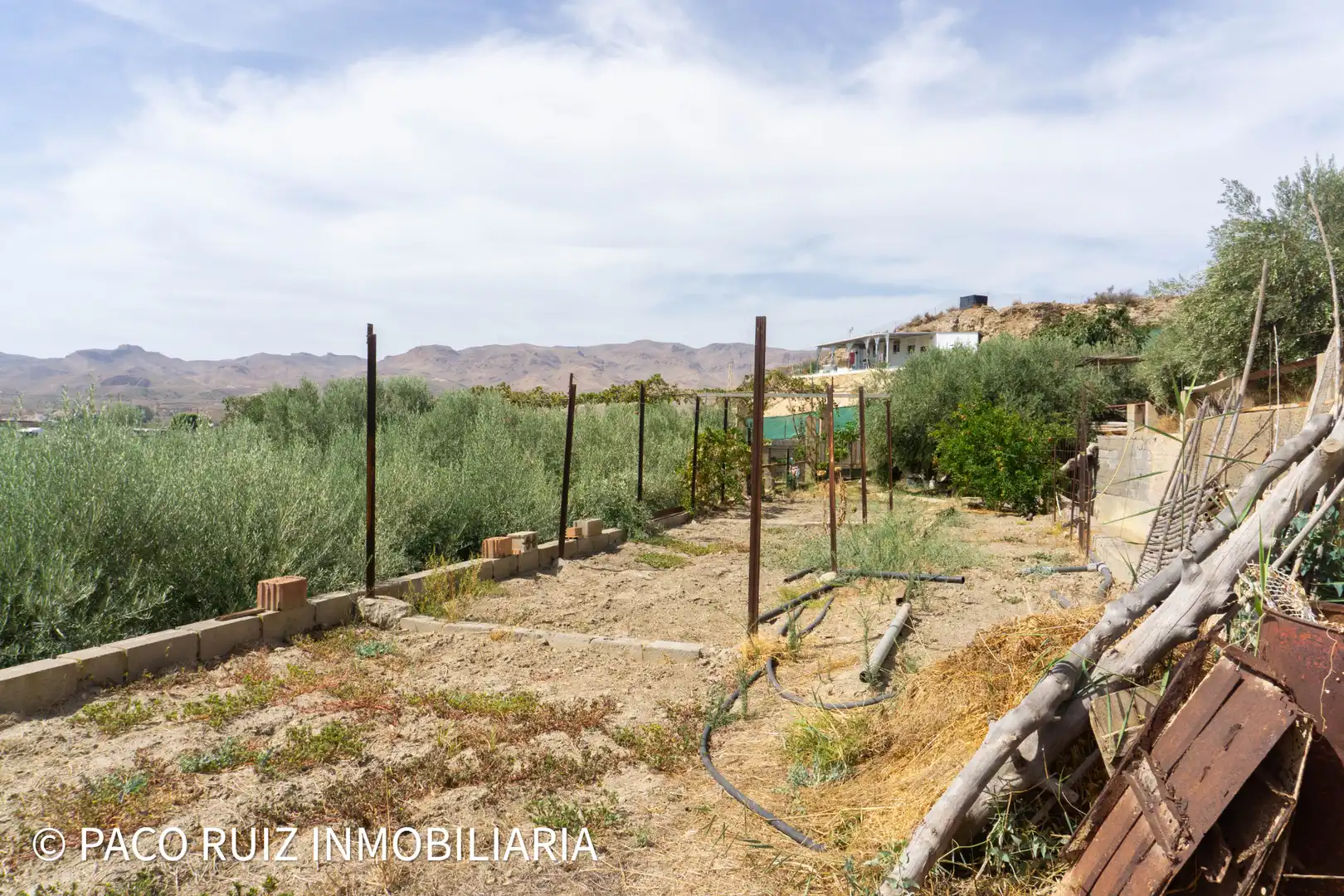 Terreno rustico in vendita a Rioja, imagen 2