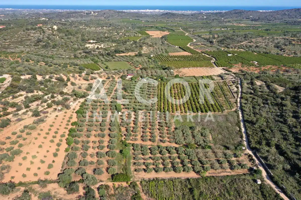 Finca rústica en venta en Cervera del Maestre