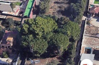 Photo 3 of Industrial land for sale in  Av. del Mueble, 34, Los Franceses – La Vega, Chiclana de la Frontera