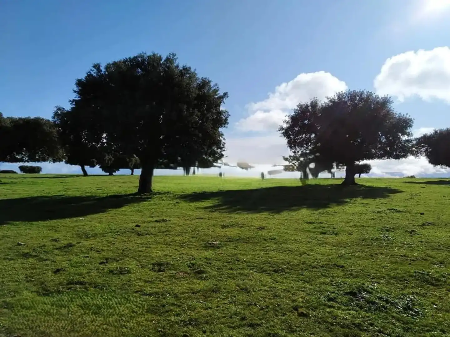Land for sale in Vistahermosa
