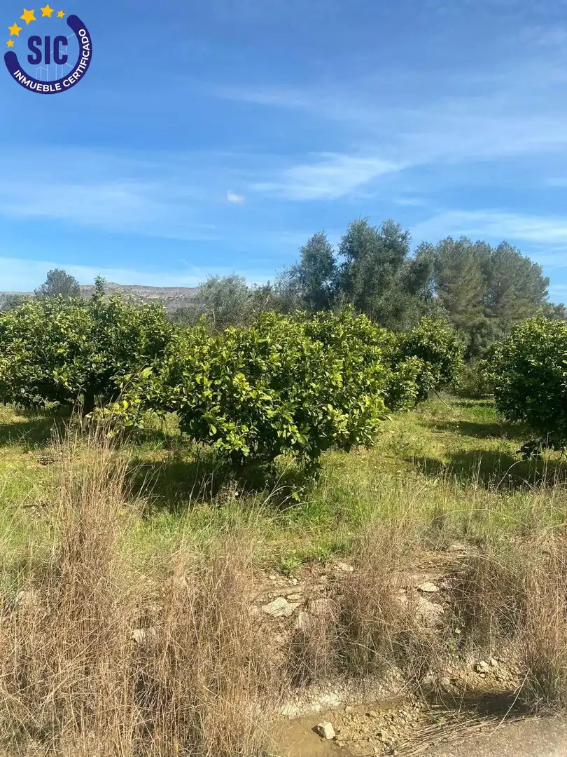 Rural land for sale in Partida Rebols, imagen 18