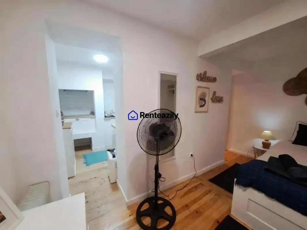 Estudio de alquiler en Madrid con Amueblado y Se aceptan mascotas