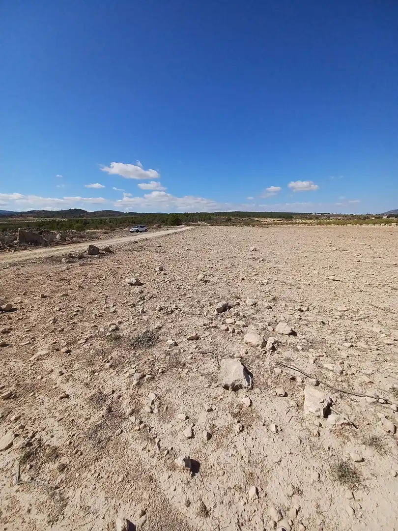 Terreny residencial en venda a El Pinós / Pinoso, imagen 10