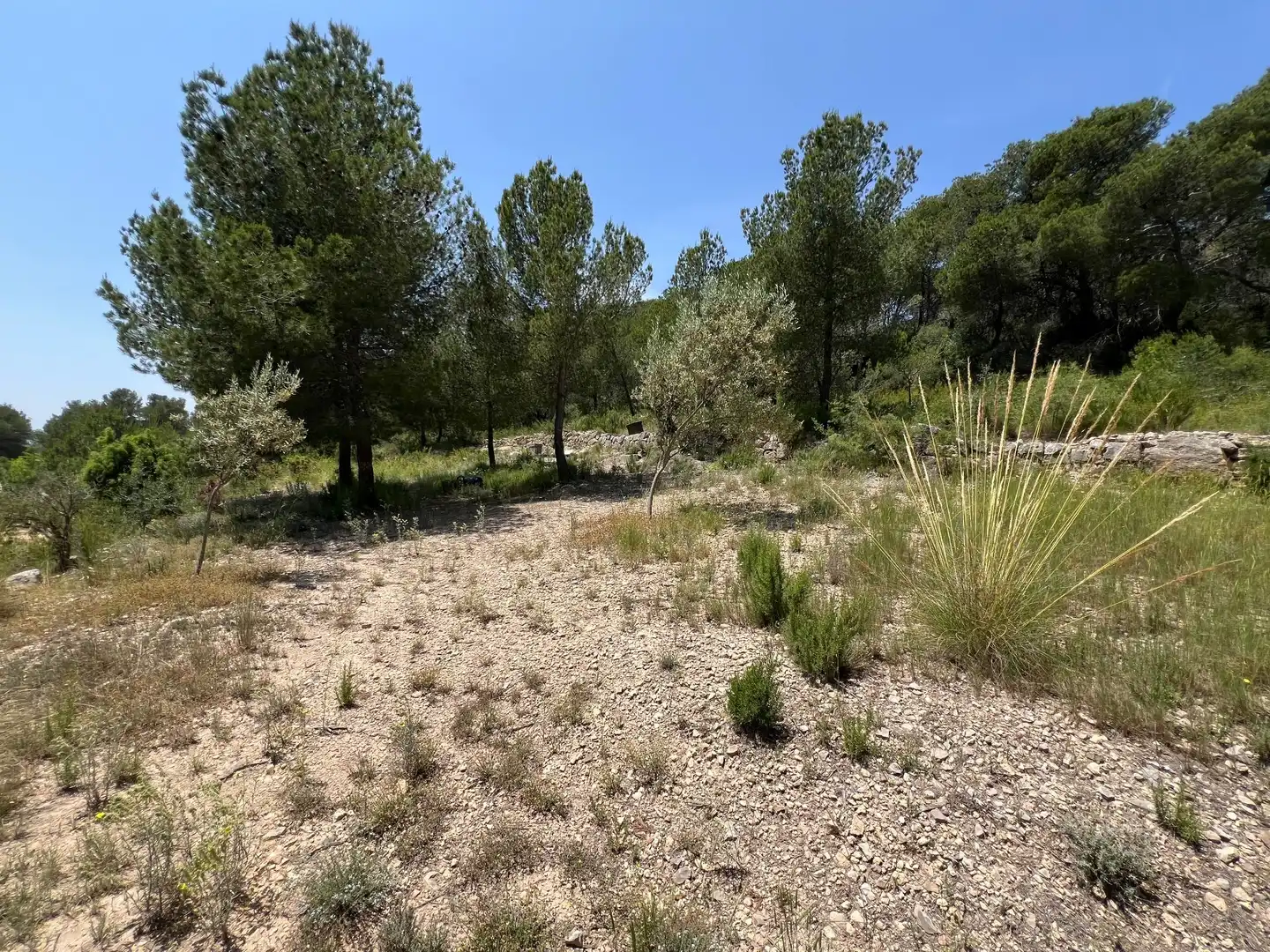 Casa o chalet en venta en Andilla