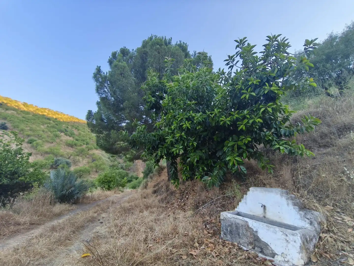 Terrenys i solars en venda a Colmenar, imagen 18