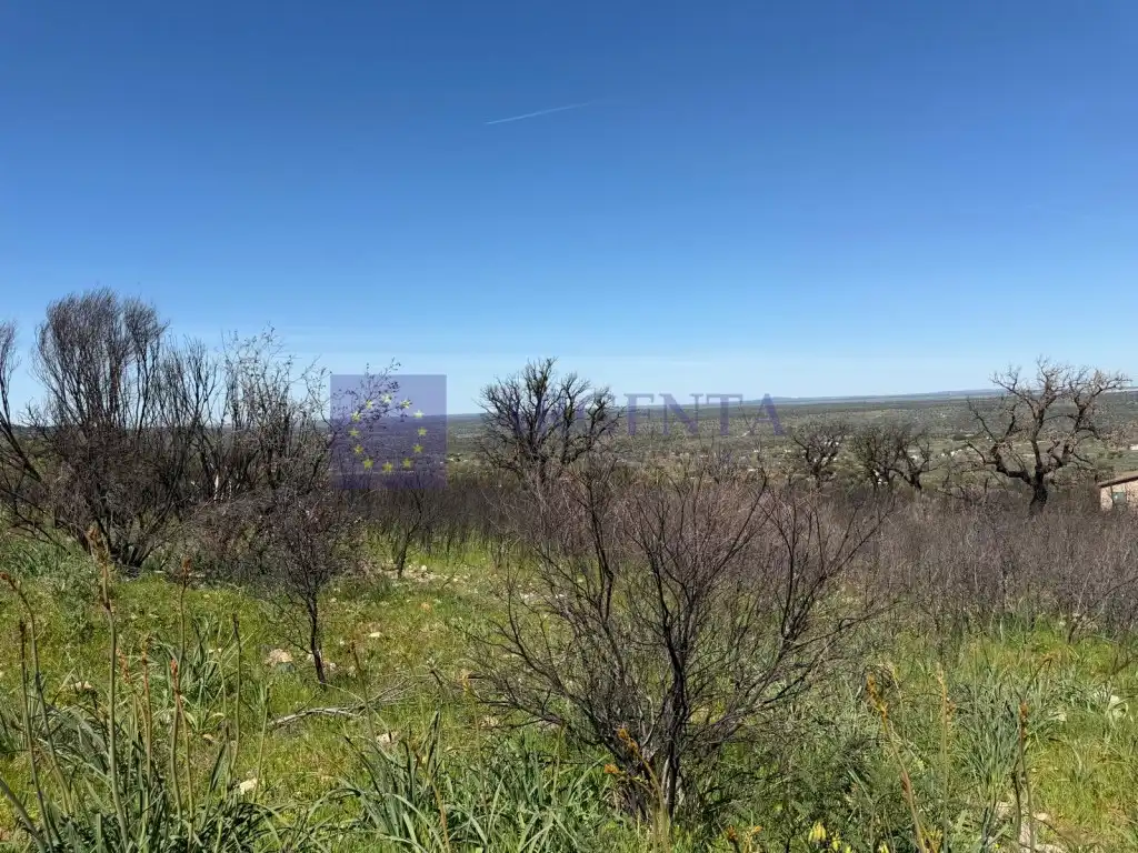 Finca rústica en venta en Aliseda con Terraza