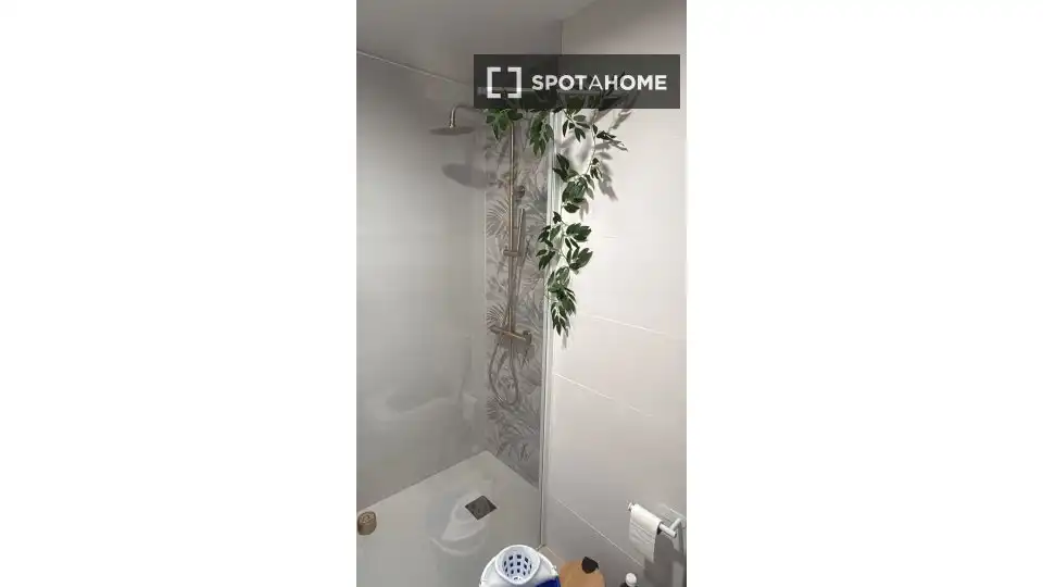 Room in Alipark