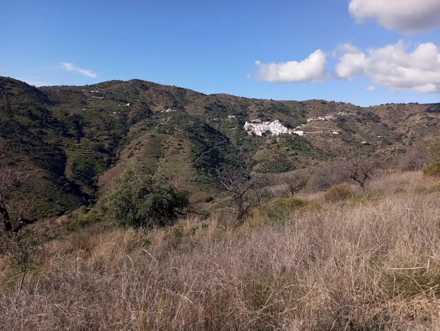 Exterior view of Land for sale in Málaga