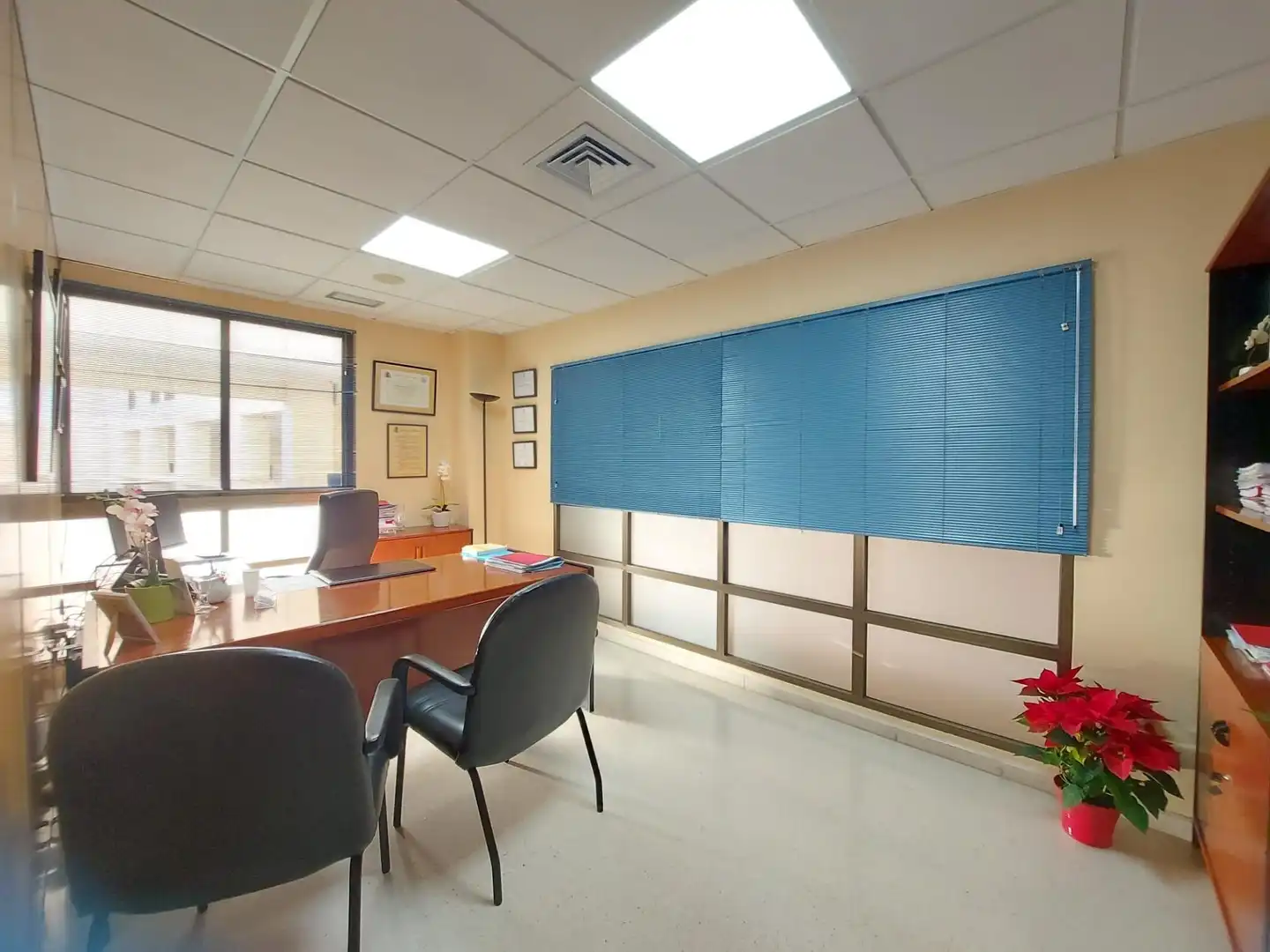 Office space with lift for sale in El Ejido Ciudad, imagen 12