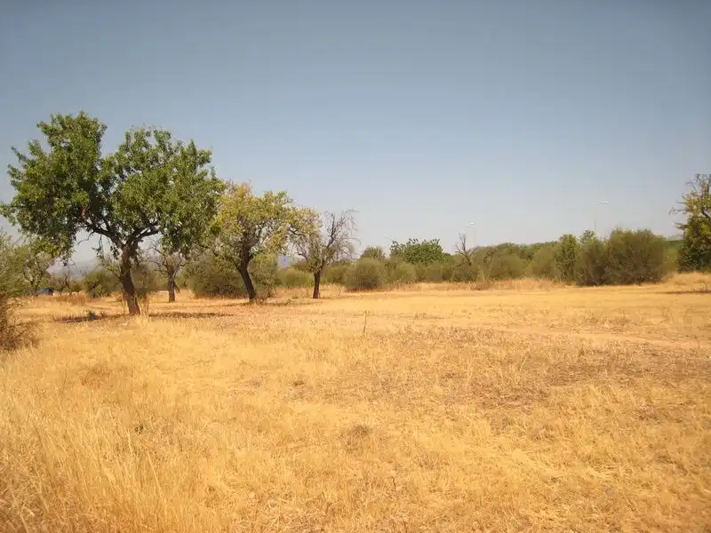 Terreny residencial en venda a Sa Cabana - Can Carbonell - Ses Cases Noves