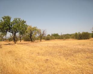 Residencial en venda en Marratxí