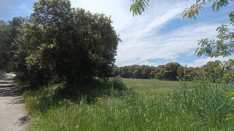 TERRENO URBANO, imatge 2