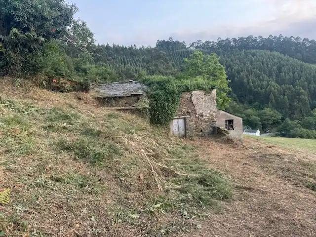 Country house zum Verkauf in Castropol