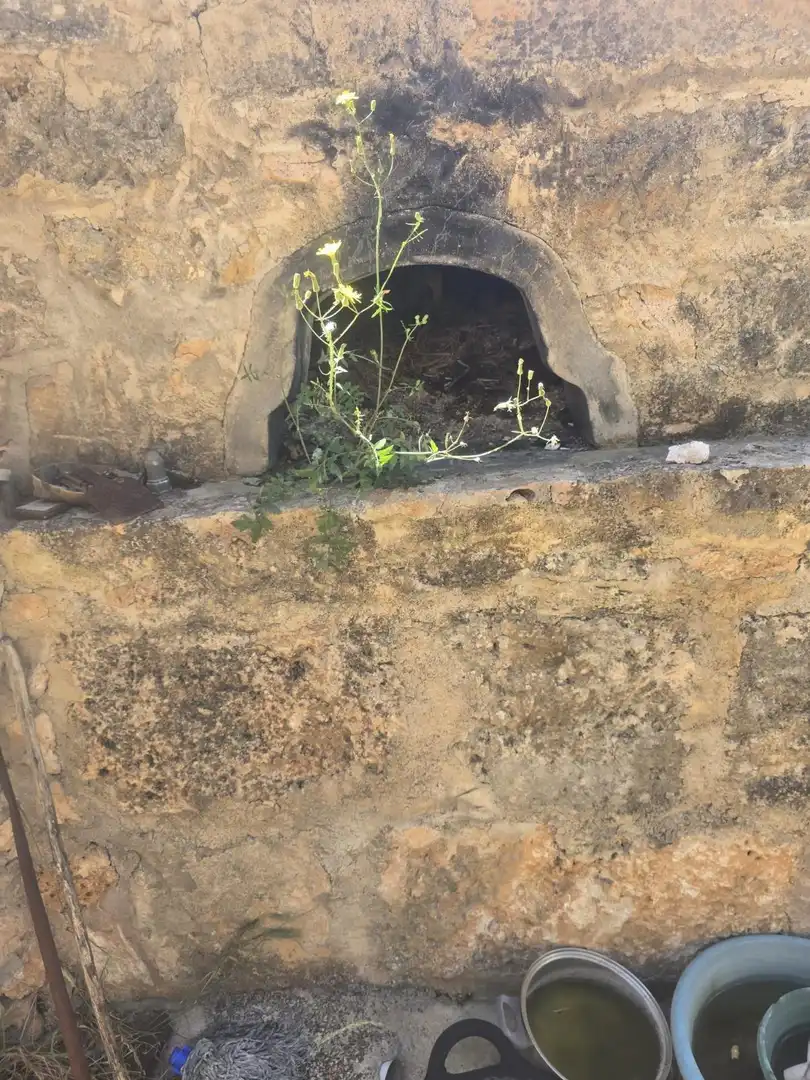 Finca rústica en venta en Marratxí con Terraza