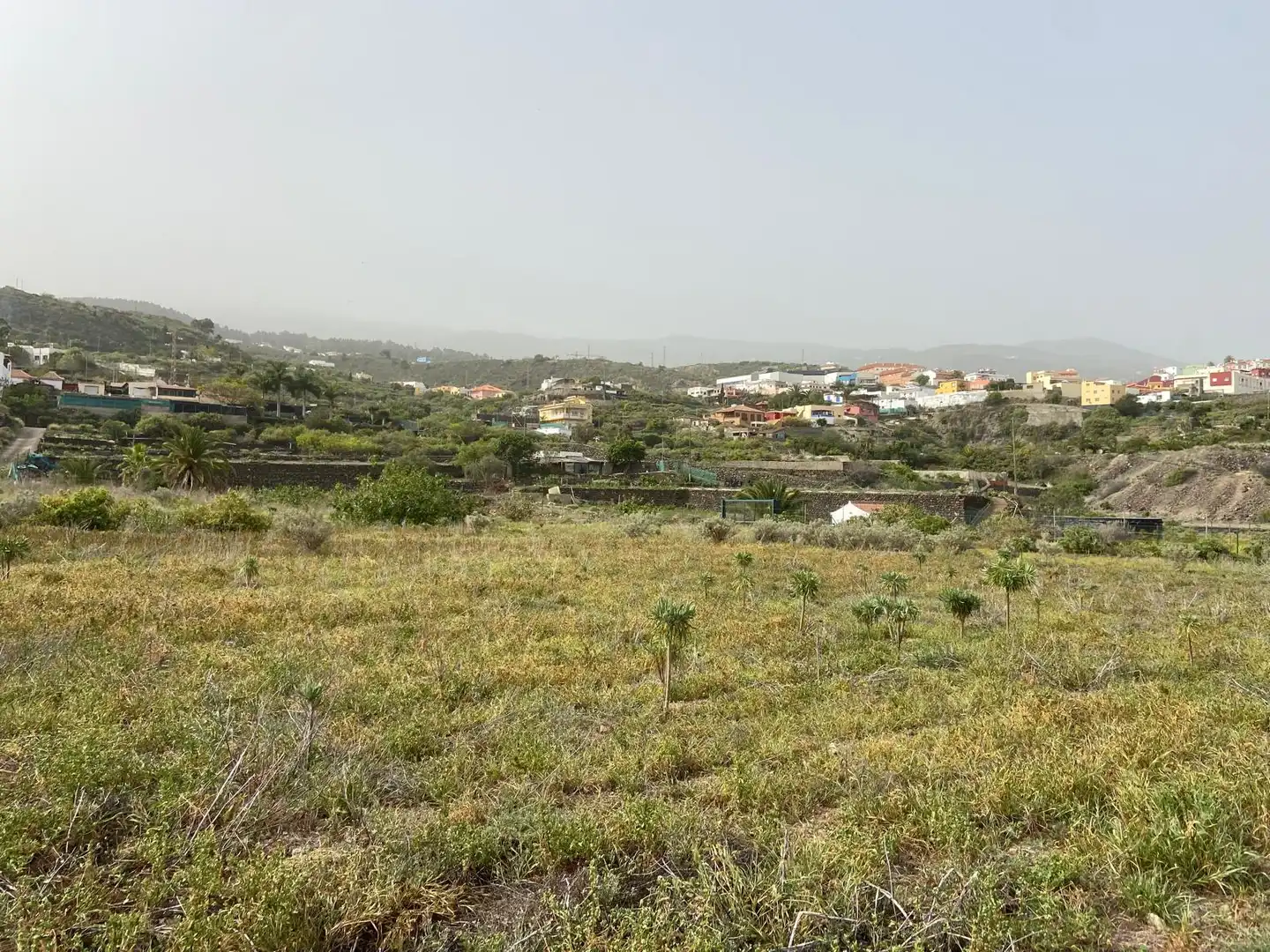 Rural land for sale in Calle la Yedra 59, imagen 10