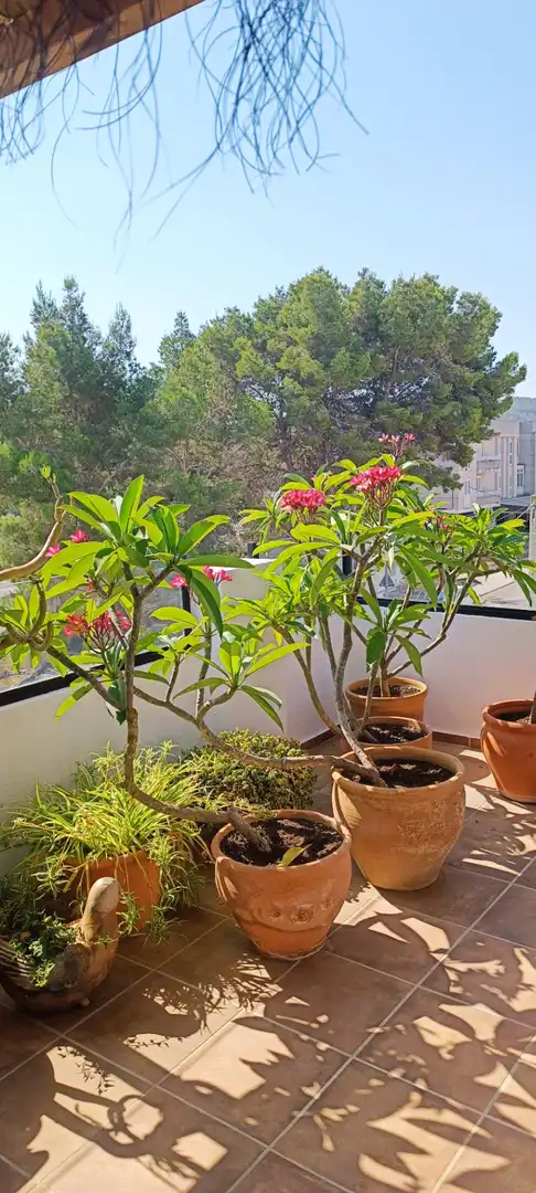 Apartment for sale in Sant Joan de Labritja, imagen 41