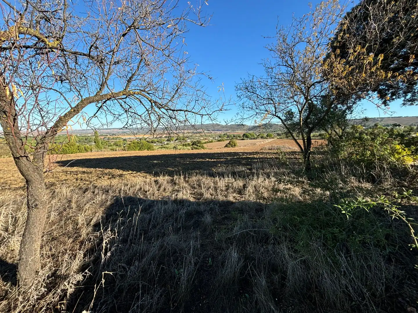 Terreny en venda en Arcos de la Frontera