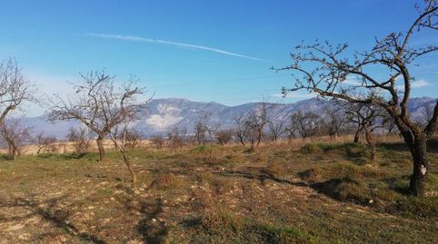 Finca Rúst. en venta en Polígonos., imatge 5
